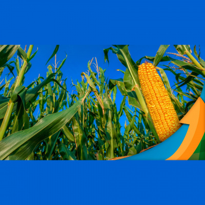 Notícias Agrícolas - Podcasts