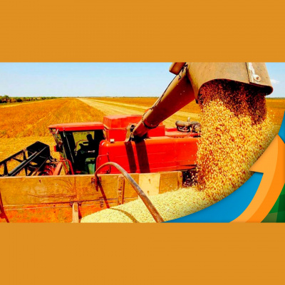 Notícias Agrícolas - Podcasts