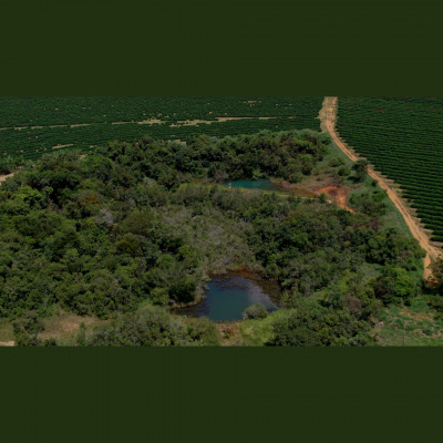 Notícias Agrícolas - Podcasts