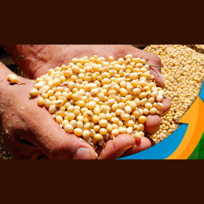 Notícias Agrícolas - Podcasts