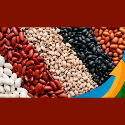 Notícias Agrícolas - Podcasts