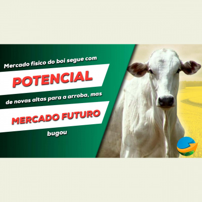 Notícias Agrícolas - Podcasts