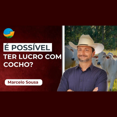 Notícias Agrícolas - Podcasts