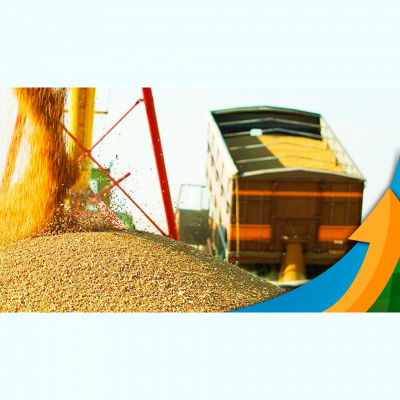 Notícias Agrícolas - Podcasts