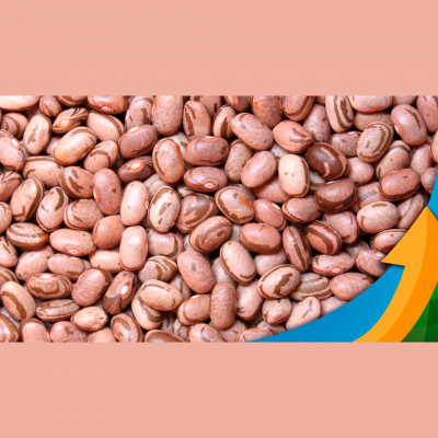 Notícias Agrícolas - Podcasts