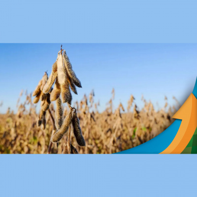 Notícias Agrícolas - Podcasts