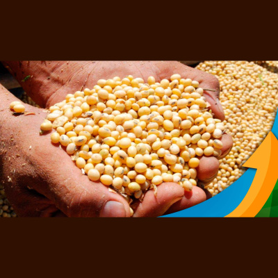 Notícias Agrícolas - Podcasts