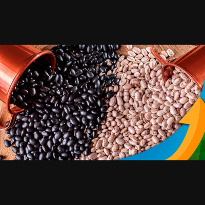 Notícias Agrícolas - Podcasts