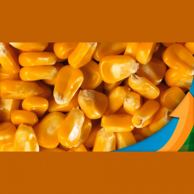 Notícias Agrícolas - Podcasts