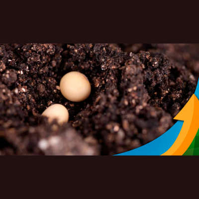 Notícias Agrícolas - Podcasts