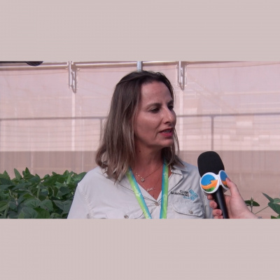 Notícias Agrícolas - Podcasts