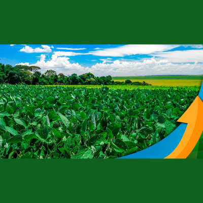 Notícias Agrícolas - Podcasts