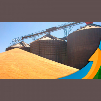 Notícias Agrícolas - Podcasts