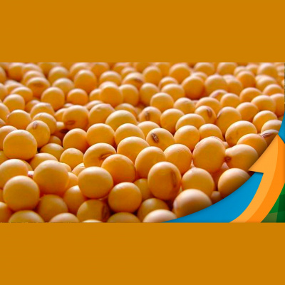 Notícias Agrícolas - Podcasts