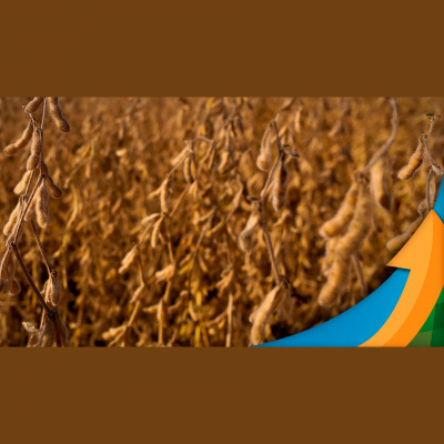 Notícias Agrícolas - Podcasts