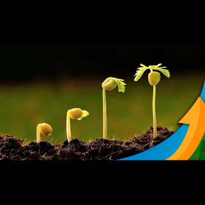 Notícias Agrícolas - Podcasts