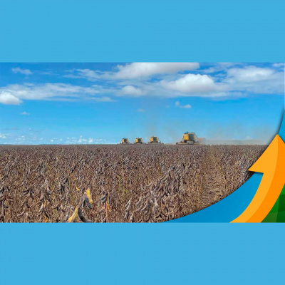 Notícias Agrícolas - Podcasts