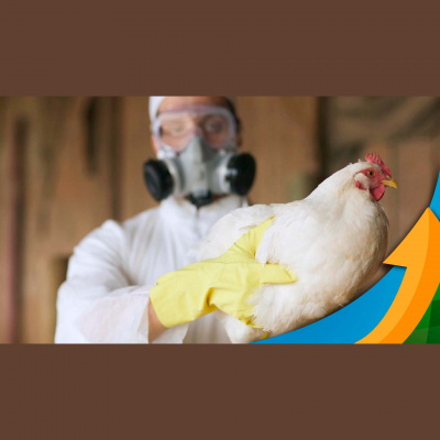 Notícias Agrícolas - Podcasts