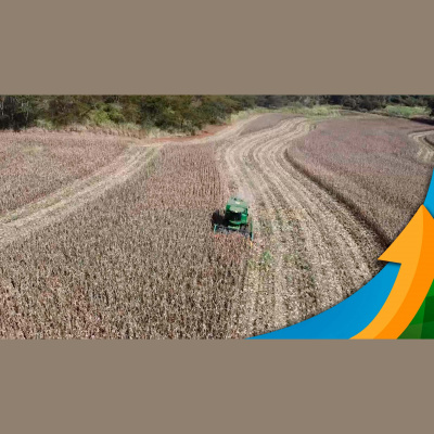 Notícias Agrícolas - Podcasts