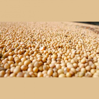 Notícias Agrícolas - Podcasts