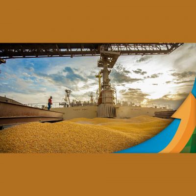 Notícias Agrícolas - Podcasts