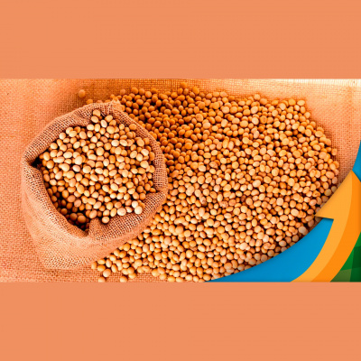 Notícias Agrícolas - Podcasts