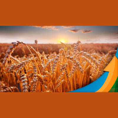 Notícias Agrícolas - Podcasts