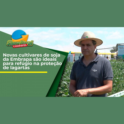 Notícias Agrícolas - Podcasts