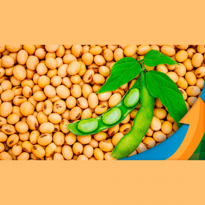 Notícias Agrícolas - Podcasts