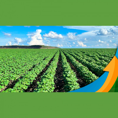 Notícias Agrícolas - Podcasts