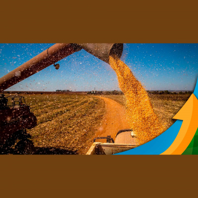 Notícias Agrícolas - Podcasts