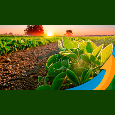 Notícias Agrícolas - Podcasts