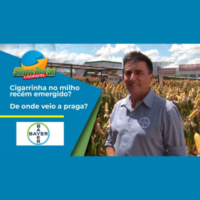 Notícias Agrícolas - Podcasts