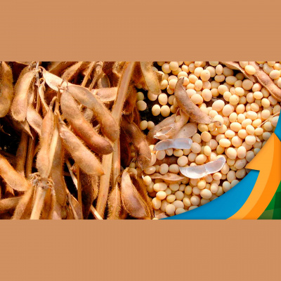 Notícias Agrícolas - Podcasts