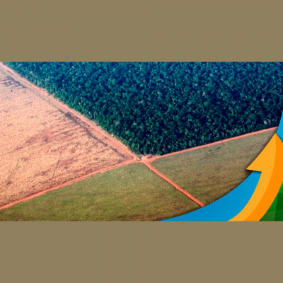 Notícias Agrícolas - Podcasts