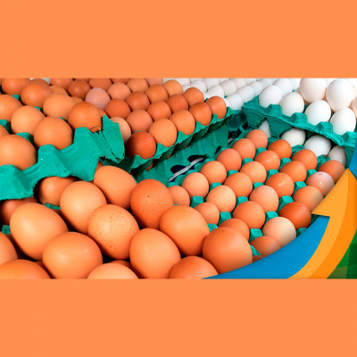 Notícias Agrícolas - Podcasts