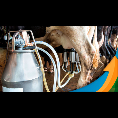 Notícias Agrícolas - Podcasts