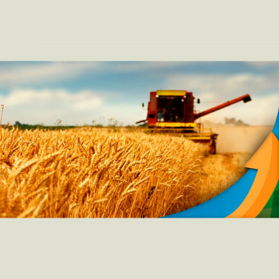 Notícias Agrícolas - Podcasts