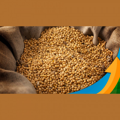 Notícias Agrícolas - Podcasts