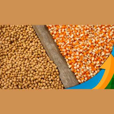 Notícias Agrícolas - Podcasts