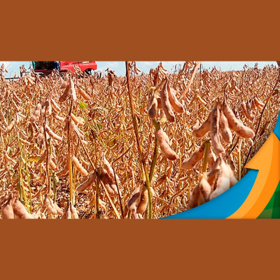 Notícias Agrícolas - Podcasts