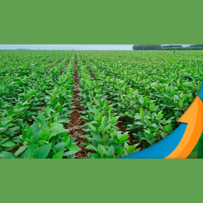 Notícias Agrícolas - Podcasts