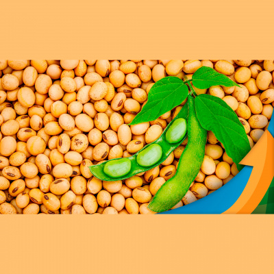 Notícias Agrícolas - Podcasts