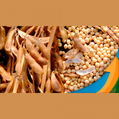 Notícias Agrícolas - Podcasts