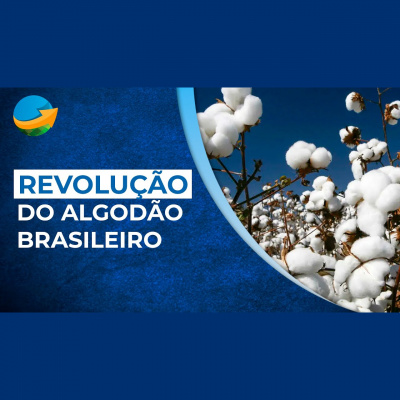 Notícias Agrícolas - Podcasts