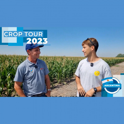 Notícias Agrícolas - Podcasts