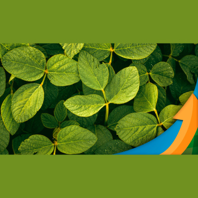 Notícias Agrícolas - Podcasts