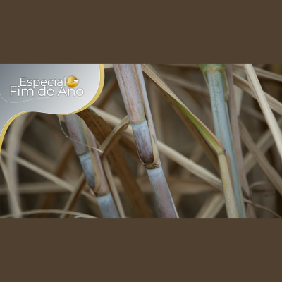 Notícias Agrícolas - Podcasts