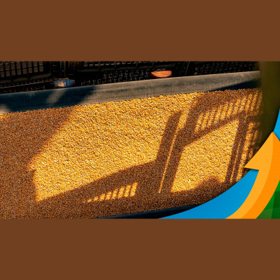 Notícias Agrícolas - Podcasts