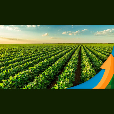 Notícias Agrícolas - Podcasts